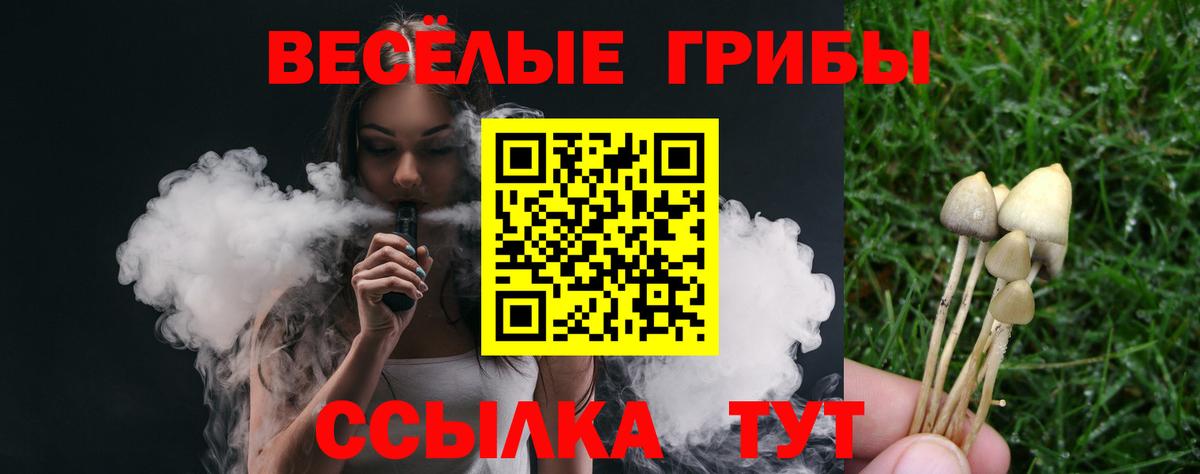 Семилуки  Псилоцибиновые грибы Cubensis  даркнет сайт  Вход с VPN 